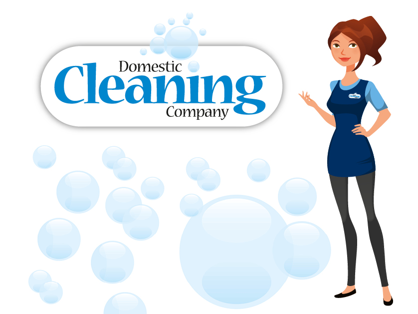 The Domestic Cleaning Company